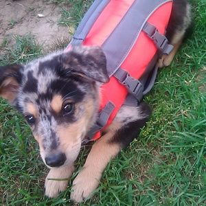 Meet your Posher, Brianna